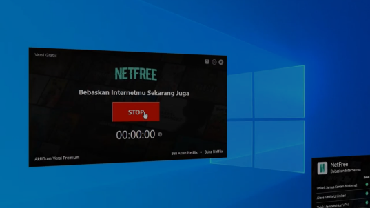 netfree ads